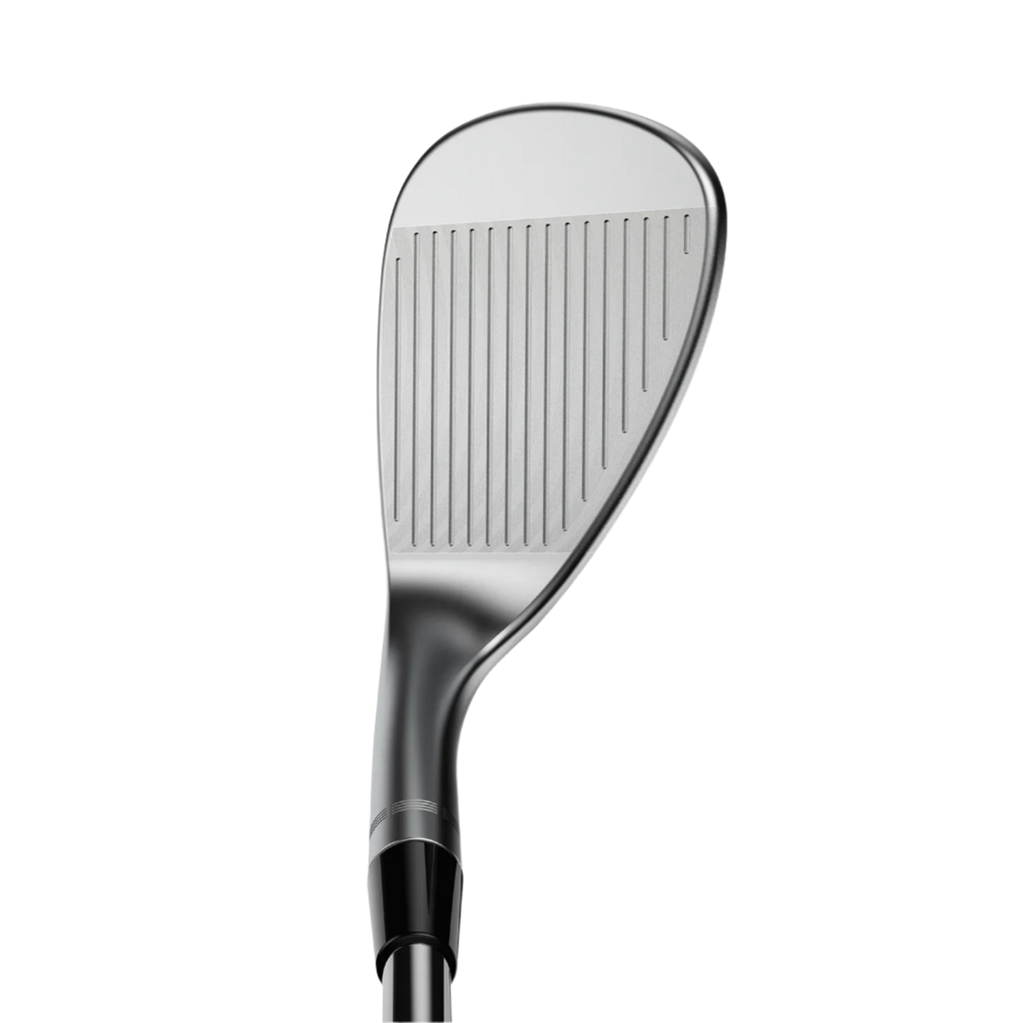SNAKEBITE Wedge