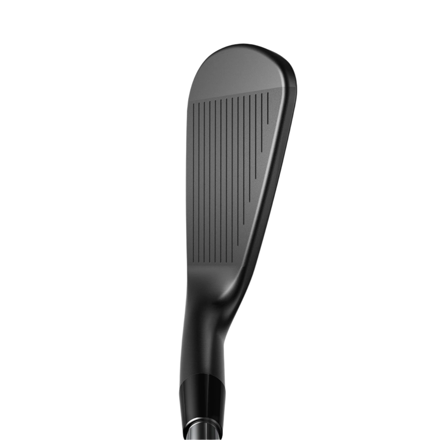 King CB/MB Black