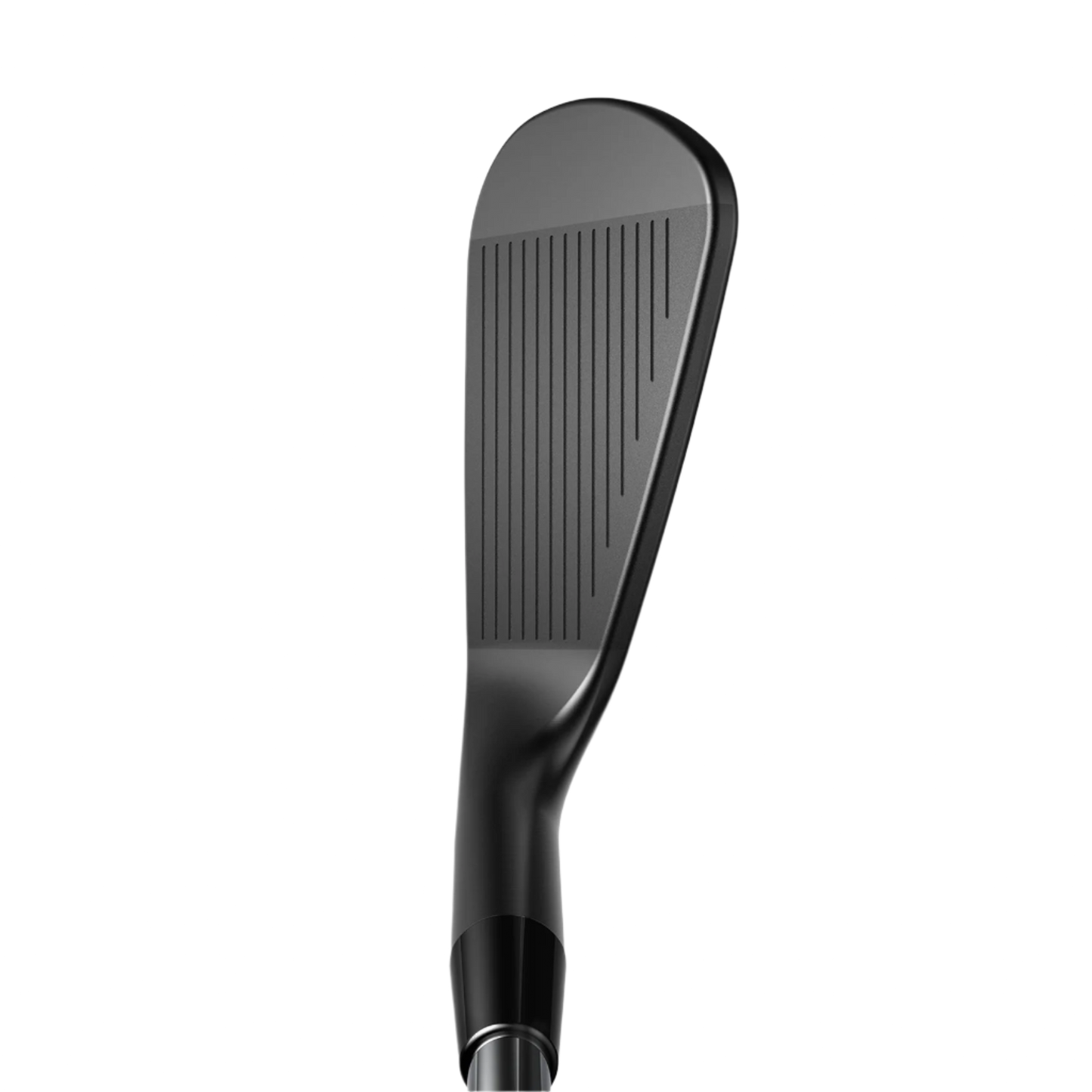 King CB/MB Black