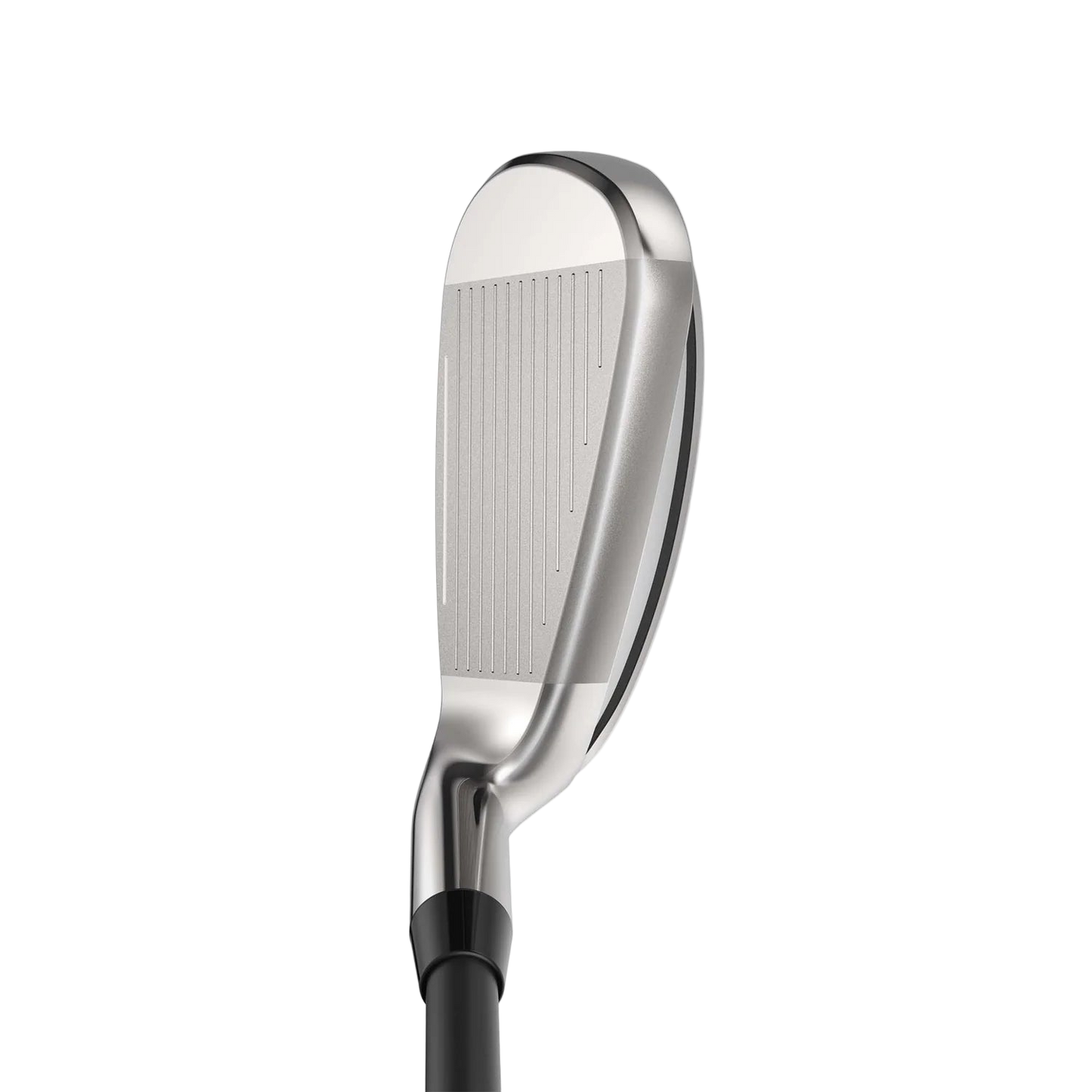 SNAKEBITE Wedge