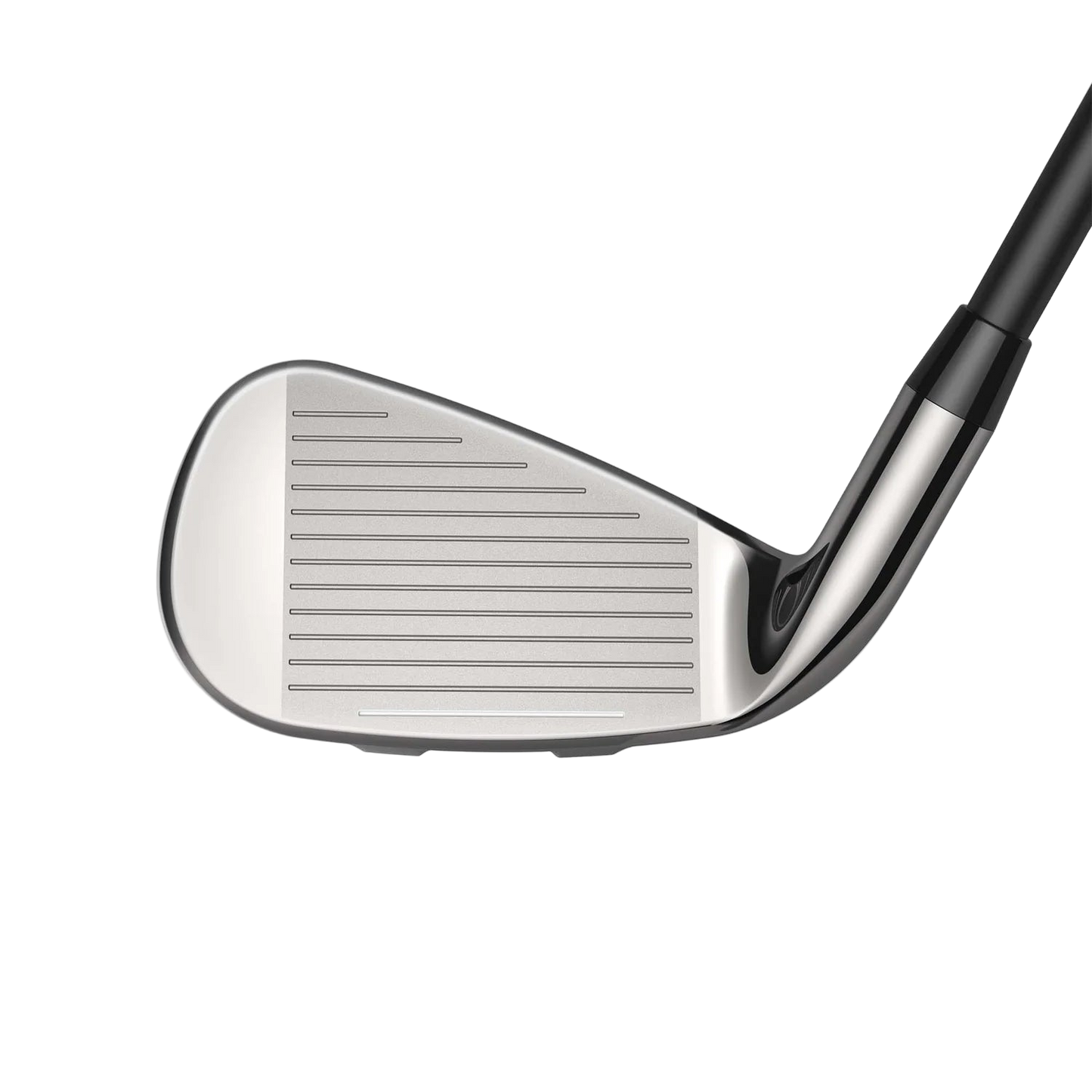 SNAKEBITE Wedge